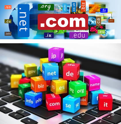 Domain Name & Hosting